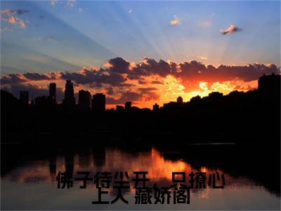 佛子待尘开，只撩心上人 藏娇阁小说全文免费阅读_（云笙宇文朔）佛子待尘开，只撩心上人 藏娇阁完结版在线阅读最新章节列表笔趣阁