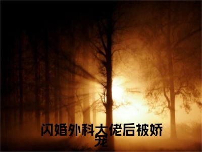 闪婚外科大佬后被娇宠（陈一泽林娴）全文免费阅读无弹窗大结局_（陈一泽林娴小说免费阅读）_笔趣阁