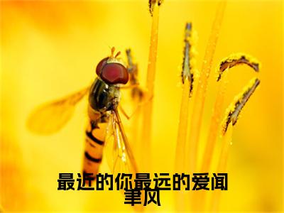 最近的你最远的爱闻聿风林星澜闻聿风是什么小说-最近的你最远的爱闻聿风全文免费阅读无弹窗大结局（林星澜闻聿风）最新章节列表在线阅读