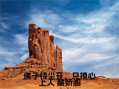 佛子待尘开，只撩心上人 藏娇阁（云笙宇文朔）全文免费阅读最新章节_佛子待尘开，只撩心上人 藏娇阁大结局精彩阅读_笔趣阁（云笙宇文朔）