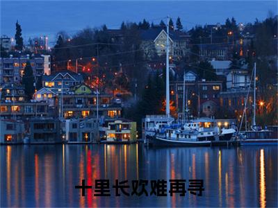 十里长欢难再寻（陆景纪今安小说）全文免费阅读无弹窗大结局_（陆景纪今安小说）十里长欢难再寻最新章节列表