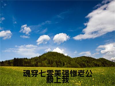 魂穿七零美强惨老公赖上我小说好看吗-魂穿七零美强惨老公赖上我宋清歌顾冬生热门小说大结局阅读