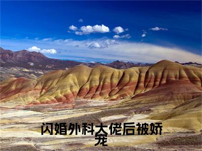 免费+全集闪婚外科大佬后被娇宠全文免费阅读无弹窗大结局_（闪婚外科大佬后被娇宠小说）陈一泽林娴在线免费阅读