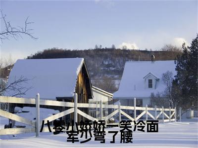 程萧苏玥（八零小娇娇一笑冷面军少弯了腰）在线阅读小说全文无删减-八零小娇娇一笑冷面军少弯了腰小说大结局