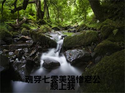 宋清歌顾冬生（魂穿七零美强惨老公赖上我）全文免费阅读无弹窗大结局_（宋清歌顾冬生）魂穿七零美强惨老公赖上我小说在线阅读无删减