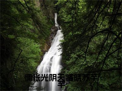 好书推荐小说惆怅光阴天将晓苏芊芊（苏芊芊）-惆怅光阴天将晓苏芊芊全文免费阅读大结局