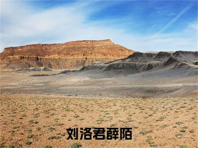 刘洛君薛陌全文免费阅读（刘洛君薛陌免费阅读无弹窗）刘洛君薛陌最新章节列表