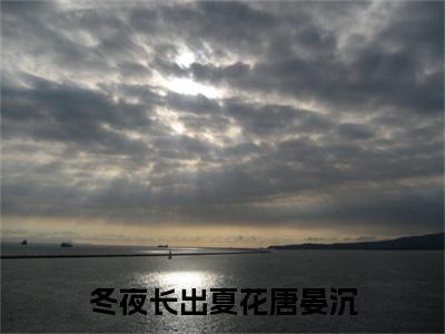 姜轻眉唐晏沉全文免费在线阅读_（冬夜长出夏花唐晏沉全文免费阅读无弹窗大结局）