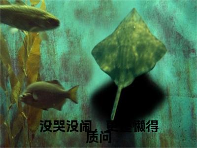 贺寂舟温童婳（没哭没闹，更是懒得质问小说）全文免费阅读无弹窗大结局_没哭没闹，更是懒得质问小说免费阅读最新章节列表_笔趣阁（贺寂舟温童婳小说）