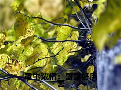 尤婉言缪君浩（重生浓情：哥哥好厉害）全文免费阅读无弹窗大结局_尤婉言缪君浩免费最新章节列表_笔趣阁