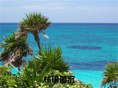 林琳周沉（林琳周沉）全文免费阅读无弹窗大结局_林琳周沉在线阅读笔趣阁