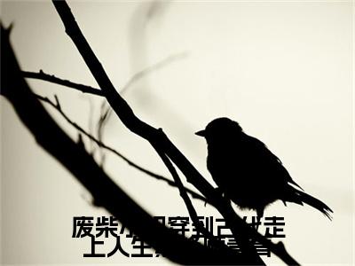 （废柴小妞穿到古代走上人生巅峰顾青青）完整版小说阅读，沈煜顾青青小说精彩免费试读
