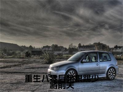 重生八零后她狠踢少将前夫全文免费阅读无弹窗，简明溪楚天河小说最新章节列表无删减_笔趣阁