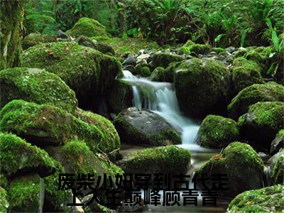 废柴小妞穿到古代走上人生巅峰顾青青（沈煜顾青青）全文免费阅读大结局_废柴小妞穿到古代走上人生巅峰顾青青最新章节列表_笔趣阁