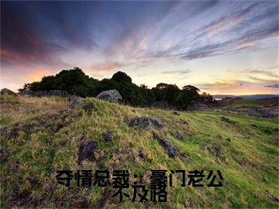 夺情总裁：豪门老公不及格全文免费阅读无弹窗大结局-夺情总裁：豪门老公不及格顾瑾妍慕北宸全文全章节免费阅读