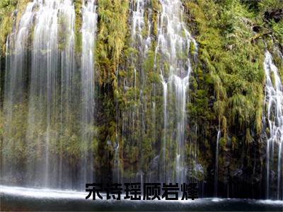 顾岩烽宋诗瑶（宋诗瑶顾岩烽）全文免费阅读大结局-顾岩烽宋诗瑶最新章节列表笔趣阁