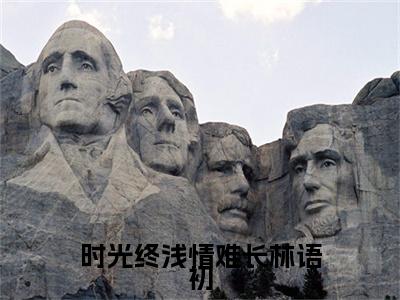 霍辰锦林语初全文免费（时光终浅情难长林语初）全文免费阅读无弹窗大结局_（霍辰锦林语初全文免费）