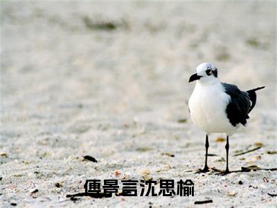 傅景言沈思榆（沈思榆傅景言）小说全文免费阅读_傅景言沈思榆最新章节小说免费阅读_笔趣阁沈思榆傅景言
