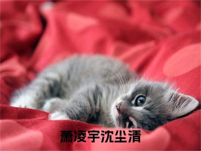 萧凌宇沈尘清全文小说（萧凌宇沈尘清）-完结版热文萧凌宇沈尘清（萧凌宇沈尘清）小说免费阅读