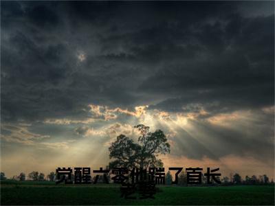 叶宥齐顾秋澜精彩小说-觉醒六零他踹了首长老婆全章节免费阅读