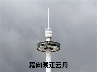 程向晚江云舟在线阅读（程向晚江云舟小说）全文免费阅读无弹窗大结局_程向晚江云舟免费最新章节列表