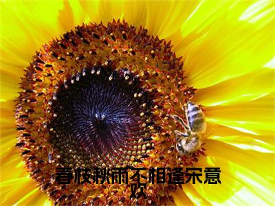 傅祈年宋意欢免费阅读无弹窗大结局，春枝秋雨不相逢宋意欢（最新全章节）全文阅读免费阅读-笔趣阁
