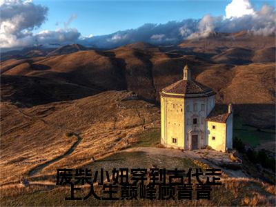 沈煜顾青青全文（废柴小妞穿到古代走上人生巅峰顾青青）完整版小说阅读_废柴小妞穿到古代走上人生巅峰顾青青全本列表免费笔趣阁（沈煜顾青青）