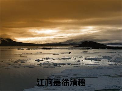 江柯嘉徐清橙免费小说-（江柯嘉徐清橙）徐清橙江柯嘉完结版在线阅读
