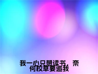 宴嘉许唐糖（我一心只想读书，奈何校草要追我）全文免费阅读无弹窗大结局_宴嘉许唐糖小说全文大结局