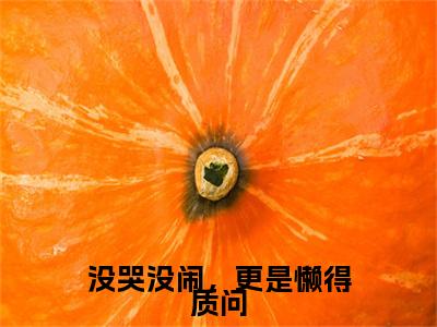 贺寂舟温童婳（没哭没闹，更是懒得质问）在哪免费看-小说（贺寂舟温童婳）没哭没闹，更是懒得质问全文完整版免费阅读