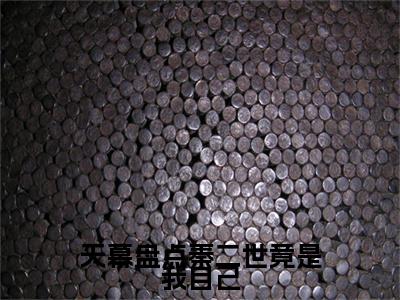 嬴长曼（天幕盘点秦二世竟是我自己）高质量小说免费阅读-主角是嬴长曼的小说叫什么名字（天幕盘点秦二世竟是我自己）