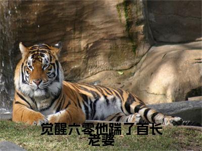 觉醒六零他踹了首长老婆精彩章节在线阅读_叶宥齐顾秋澜免费观看（觉醒六零他踹了首长老婆）完结版_笔趣阁（叶宥齐顾秋澜）