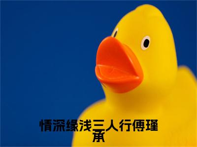 情深缘浅三人行傅瑾承（沈妤熙傅瑾承陆景钦大结局小说全集完整版）_（沈妤熙傅瑾承陆景钦小说）情深缘浅三人行傅瑾承全文阅读笔趣阁