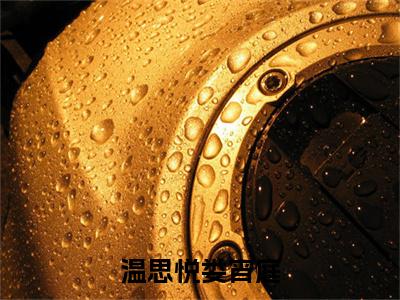 温思悦娄宵庭在线阅读（温思悦娄宵庭）全文免费阅读大结局_温思悦娄宵庭免费最新章节列表_笔趣阁