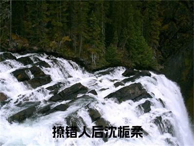 撩错人后沈栀柔（周嘉屿沈栀柔）完整版全文在线赏析-撩错人后沈栀柔精彩美文摘抄