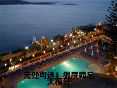 泽安德安格（无处可逃！狠戾霸总太疯狂）全文免费阅读无弹窗大结局_无处可逃！狠戾霸总太疯狂（泽安德安格无弹窗）_笔趣阁