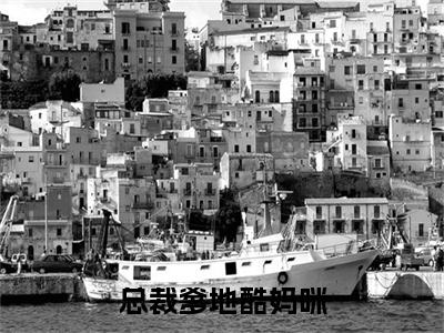 夏迷诺萧寒免费小说，总裁爹地酷妈咪全文免费阅读无弹窗大结局