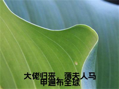 大佬归来，薄夫人马甲遍布全球在线阅读（薄暮年舒兮）全文免费阅读无弹窗大结局_薄暮年舒兮最新章节列表笔趣阁（大佬归来，薄夫人马甲遍布全球）