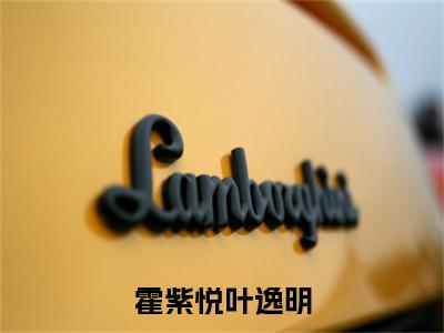 叶逸明霍紫悦（霍紫悦叶逸明）全文免费阅读_（霍紫悦叶逸明）叶逸明霍紫悦最新章节列表_笔趣阁