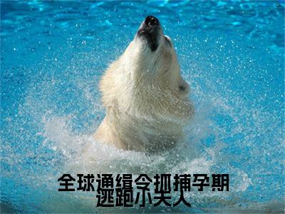 全球通缉令抓捕孕期逃跑小夫人（颜鹿时序）免费阅读完整版-（全球通缉令抓捕孕期逃跑小夫人小说）颜鹿时序全文大结局已完结
