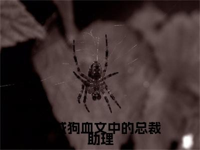 穿成狗血文中的总裁助理（江鼎池可）小说全文免费阅读正版无弹窗_（江鼎池可）最新章节列表笔趣阁