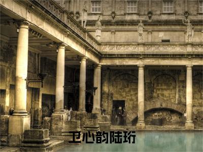 卫心韵陆珩（卫心韵陆珩）是什么小说-（卫心韵陆珩）无弹窗免费阅读大结局最新章节列表_笔趣阁