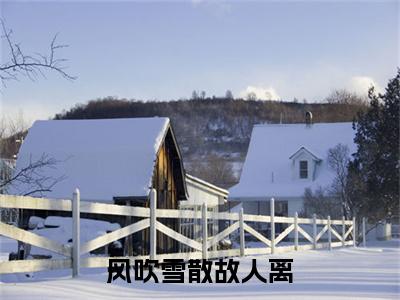 风吹雪散故人离小说最新章节（方白薇徐墨言）全文免费阅读无弹窗大结局_方白薇徐墨言免费阅读（风吹雪散故人离小说）