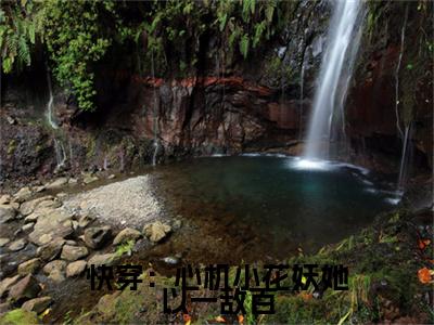 花窈（快穿：心机小花妖她以一敌百）全文免费阅读无弹窗大结局_（快穿：心机小花妖她以一敌百小说免费阅读）_笔趣阁