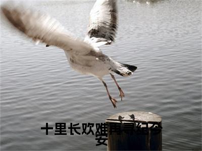 十里长欢难再寻纪今安（陆景纪今安）小说全文小说免费阅读_十里长欢难再寻纪今安最新章节列表笔趣阁（陆景纪今安）