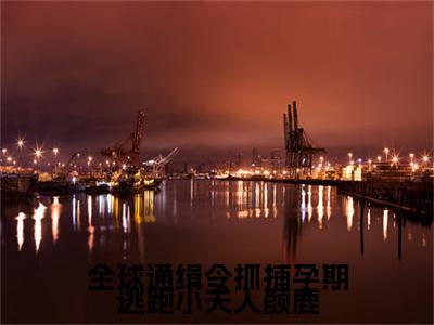 全球通缉令抓捕孕期逃跑小夫人颜鹿小说全文免费阅读无弹窗大结局-颜鹿时序免费阅读无弹窗