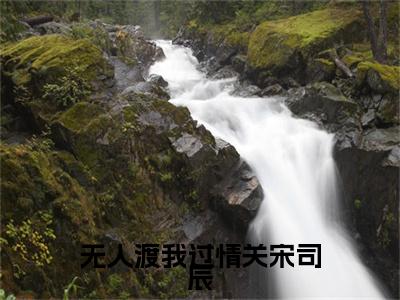 江南枝宋司辰（无人渡我过情关宋司辰）小说免费在线阅读_江南枝宋司辰全本免费小说阅读大结局（无人渡我过情关宋司辰）
