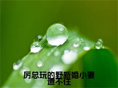 厉总玩的野新婚小妻遭不住小说全文免费阅读_（厉邢童晚书）厉总玩的野新婚小妻遭不住完结版在线阅读最新章节列表笔趣阁