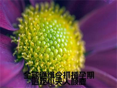 全球通缉令抓捕孕期逃跑小夫人颜鹿颜鹿时序全文免费阅读_全球通缉令抓捕孕期逃跑小夫人颜鹿无弹窗最新章节