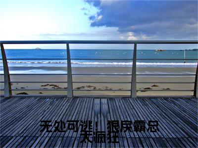 泽安德安格（无处可逃！狠戾霸总太疯狂）全文免费阅读无弹窗大结局无处可逃！狠戾霸总太疯狂（泽安德安格）